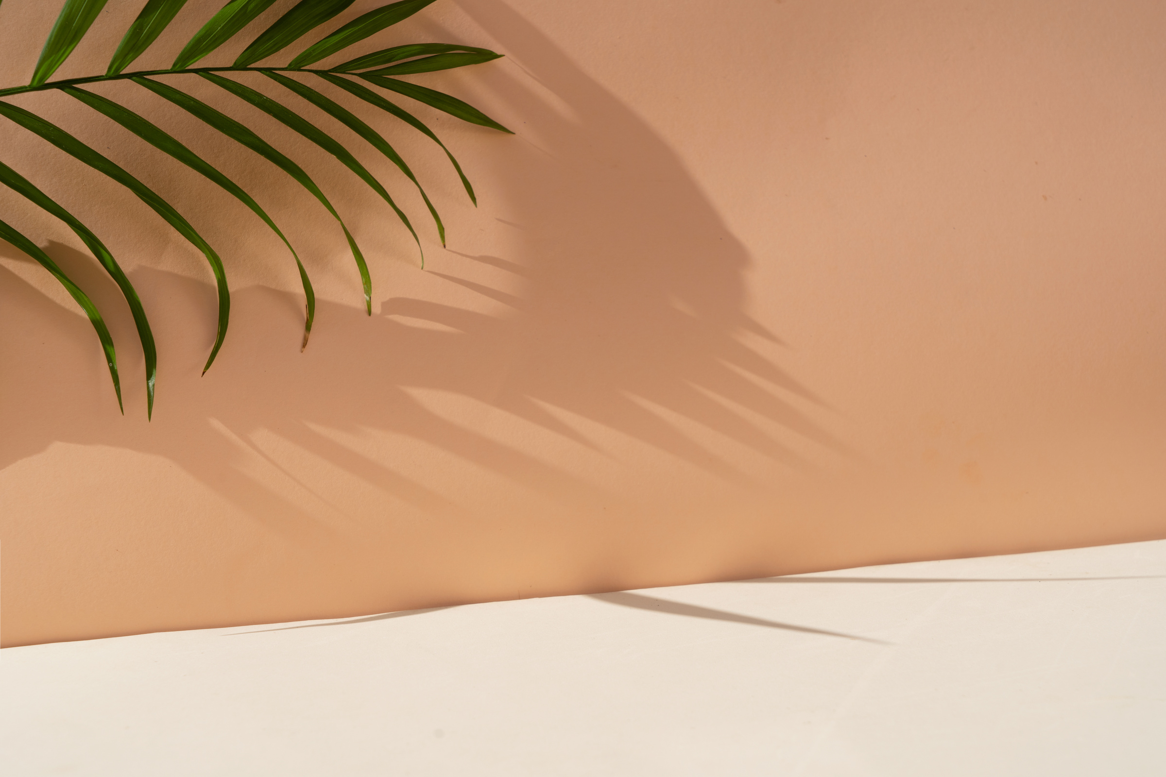 Minimal Product Display